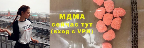 ГАЛЛЮЦИНОГЕННЫЕ ГРИБЫ Богданович