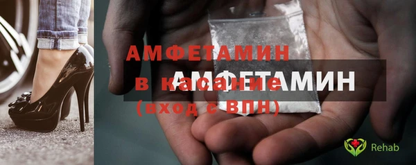 гидра Бородино