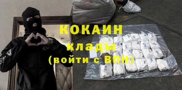 гидра Бородино