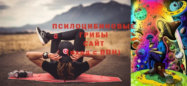 мдма Богородицк
