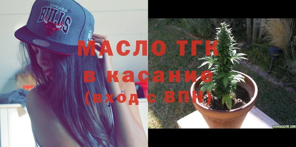 гидра Бородино